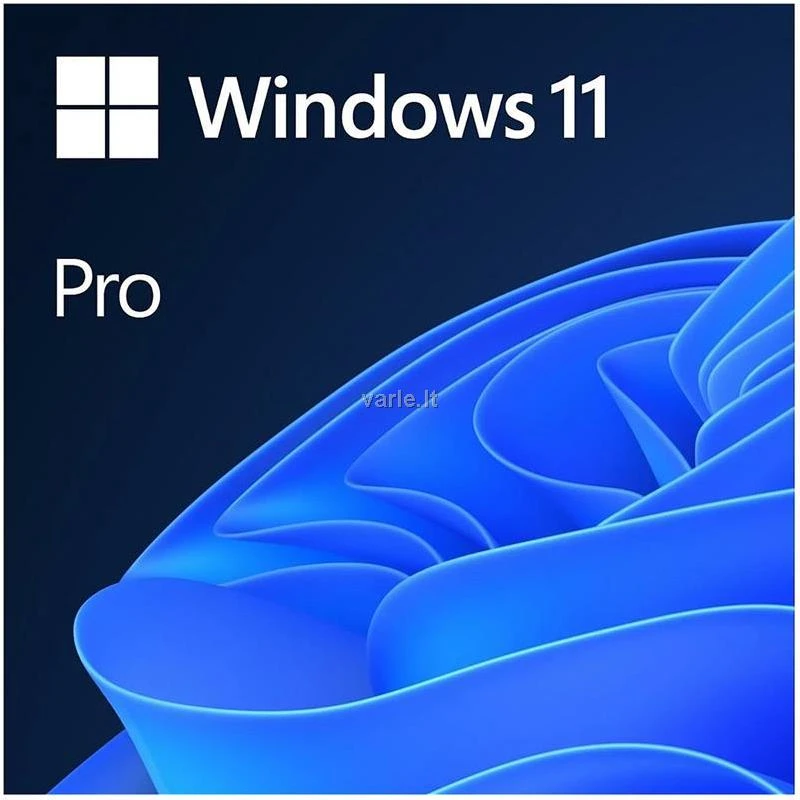 Operacinė sistema Microsoft Windows 11 Pro, 64 bitų, Angliška versija, OEI, DVD
