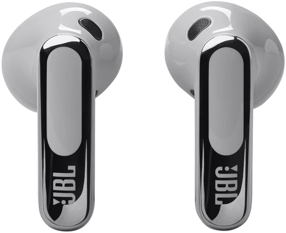 JBL Live Flex 3 sidabrinės ausinės iš priekio