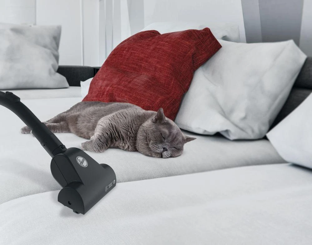 Dulkių siurblys Hoover BV60PET 011