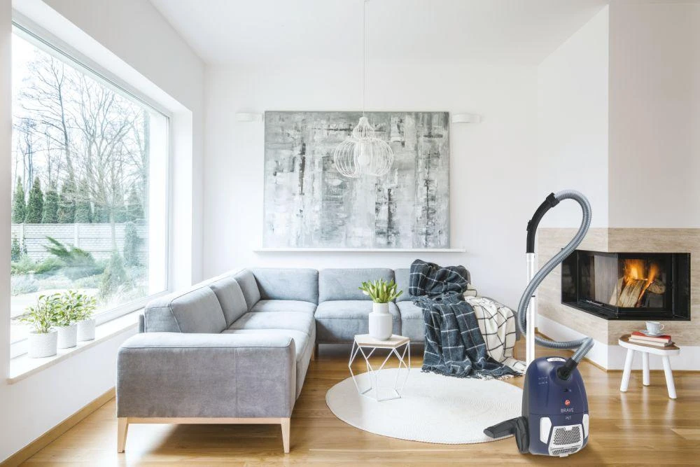 Dulkių siurblys Hoover BV60PET 011 aprašymas - Prekės nuotrauka