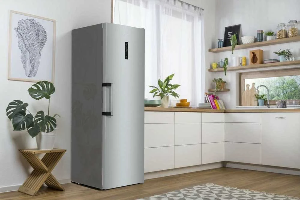 Šaldytuvas Gorenje R619EAXL6