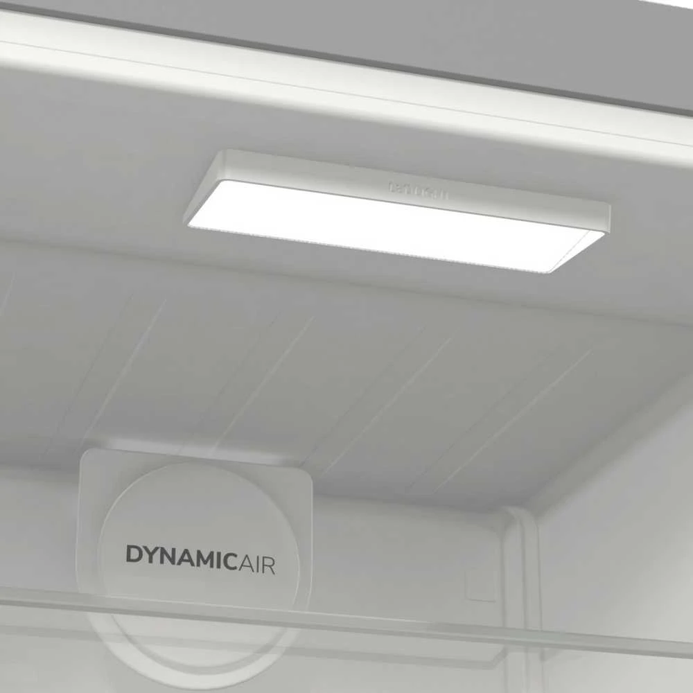 Šaldytuvas Gorenje R619EAXL6