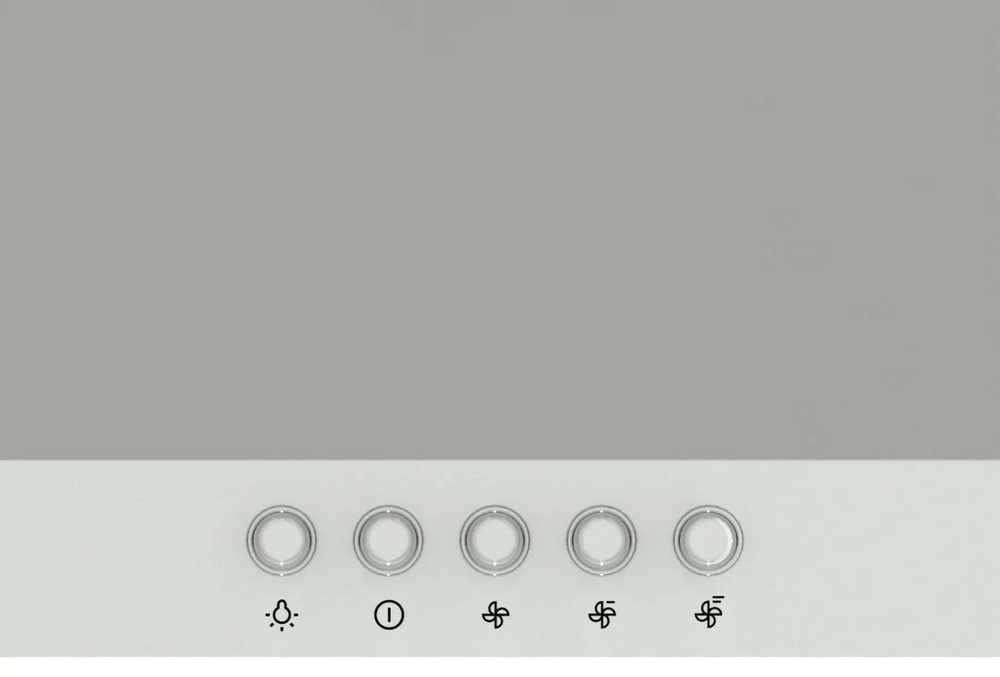 Gorenje WHC529E4X - Prie sienos montuojamas gartraukis