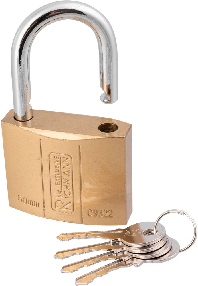 RICHMANN Aukso spalvos spyna 60 mm