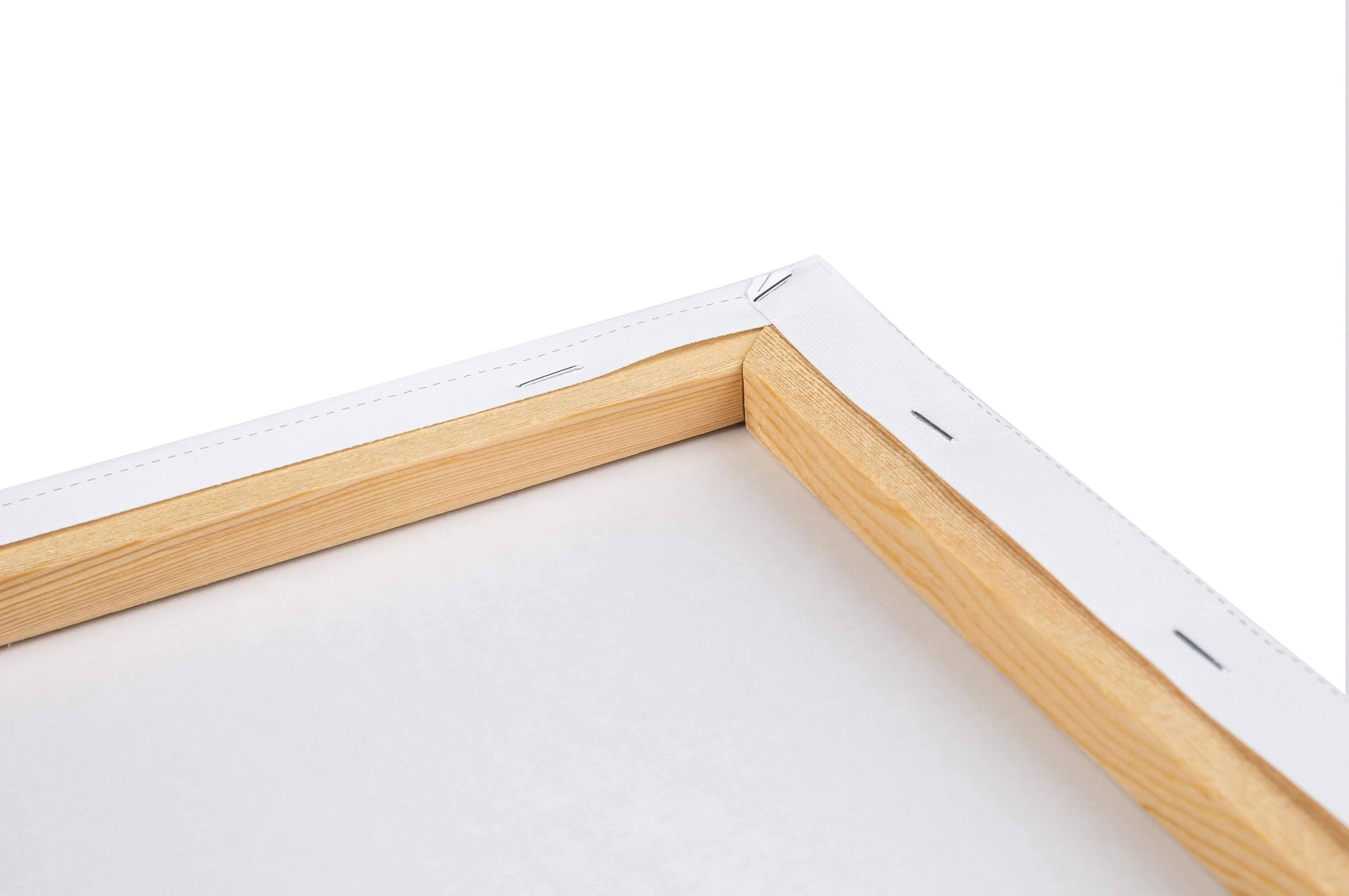 Tapyba pagal numerius Wizardi Beldizart Paveikslas pagal skaičius rinkinys Mopsas 13x16 cm MINI148