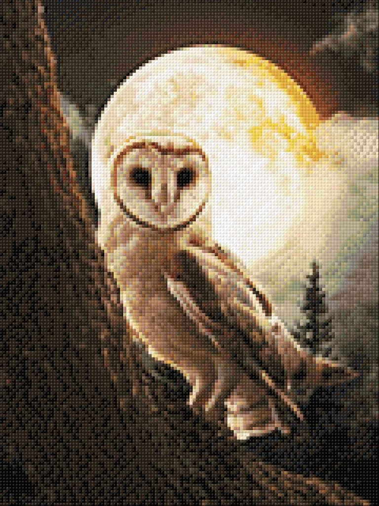 Wizardi Beldizart Mysterious Owl 30*40 WD3066