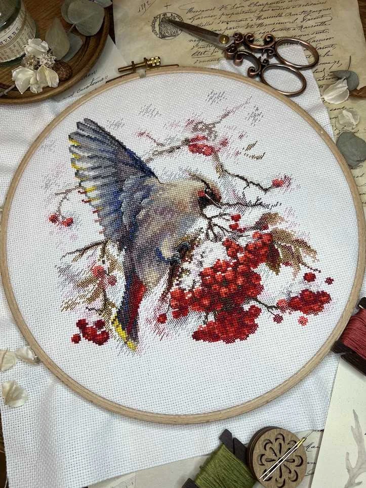 Andriana Beldizart Kryželių siuvinėjimo rinkinys "Waxwing" 19x19,5 cm SANS-72
