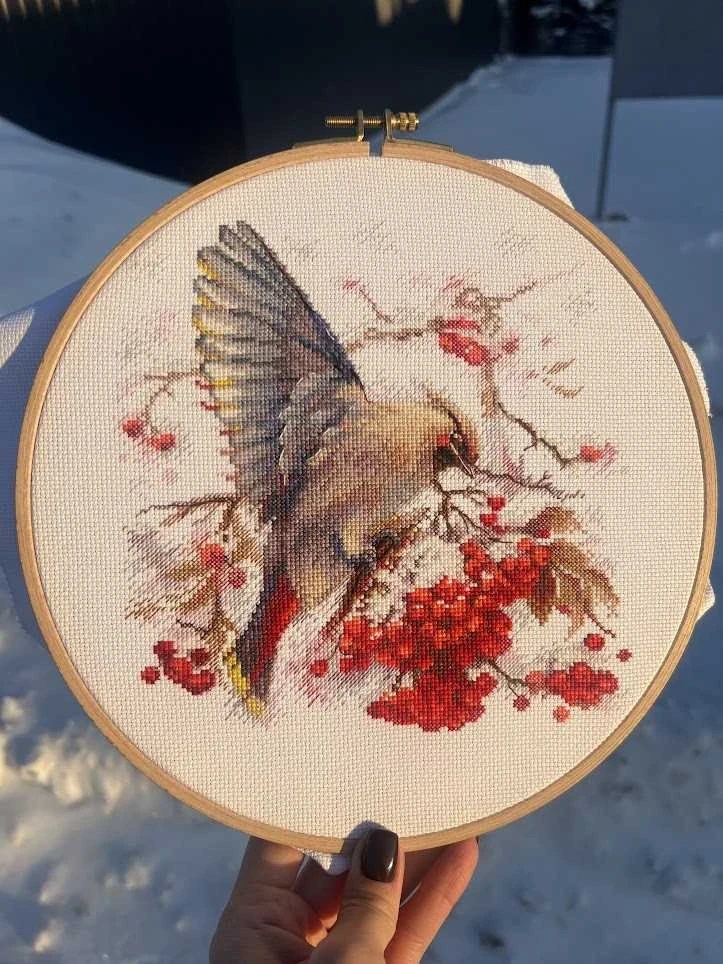 Andriana Beldizart Kryželių siuvinėjimo rinkinys "Waxwing" 19x19,5 cm SANS-72
