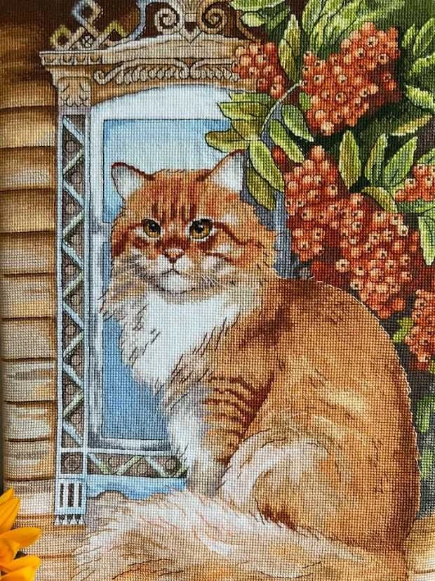 Beldizart Kryželiu siuvinėjimo rinkinys "Imbiero katė" 26,5 x 37,5 cm SANR-59
