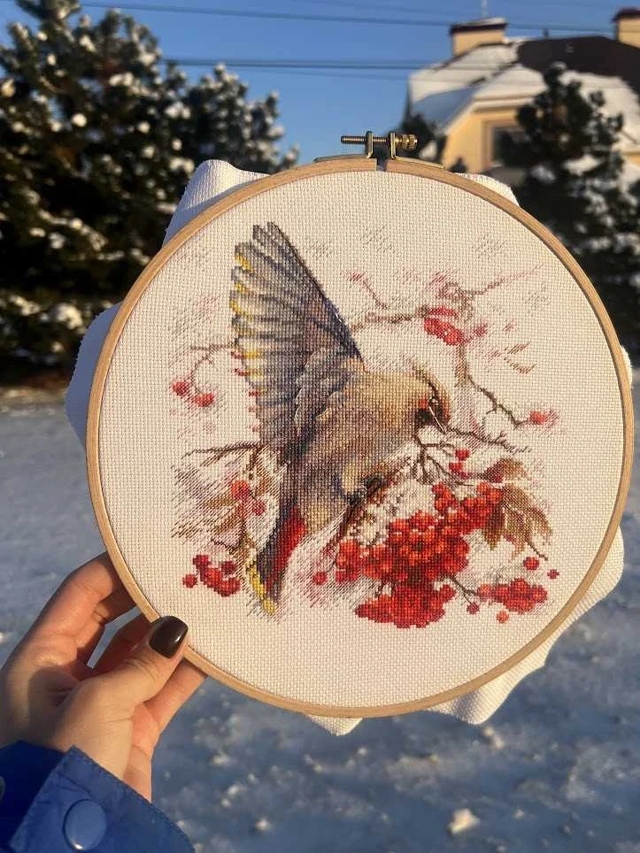 Andriana Beldizart Kryželių siuvinėjimo rinkinys "Waxwing" 19x19,5 cm SANS-72