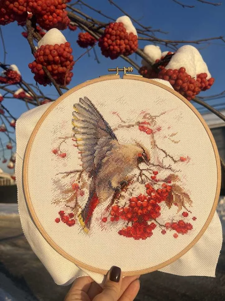 Andriana Beldizart Kryželių siuvinėjimo rinkinys "Waxwing" 19x19,5 cm SANS-72