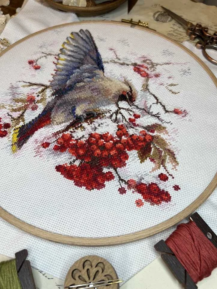 Andriana Beldizart Kryželių siuvinėjimo rinkinys "Waxwing" 19x19,5 cm SANS-72