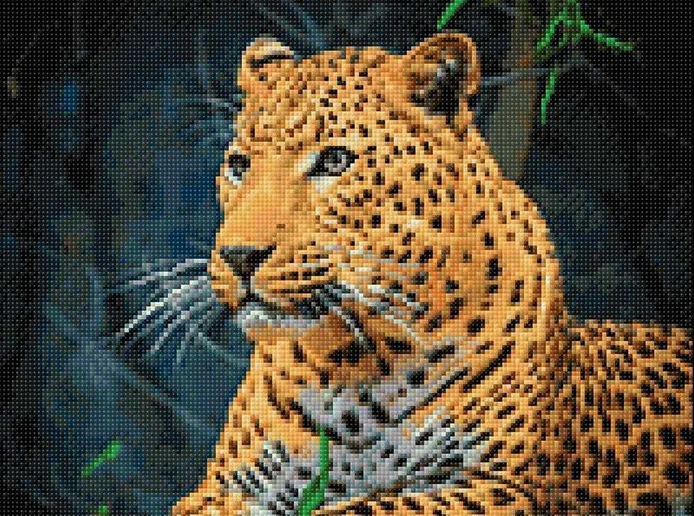 Wizardi Beldizart Leopardas 40*30 WD3036 (D)