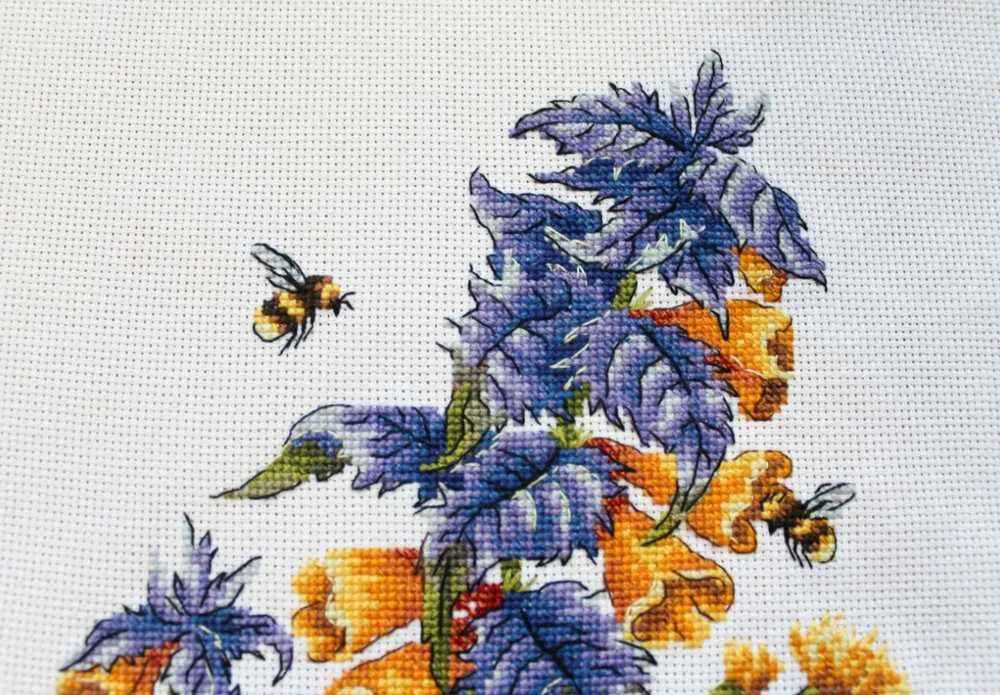 MP Studia Beldizart Melampyrum nemorosum SNV-778