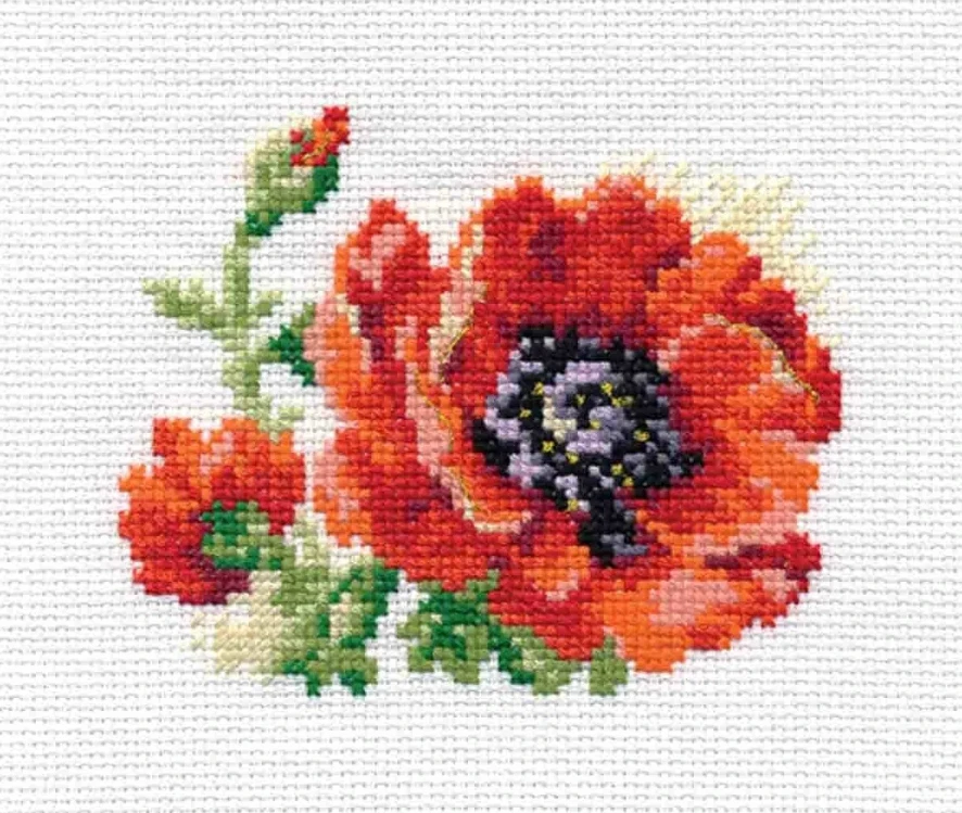 Alisa Beldizart Poppy S0-80