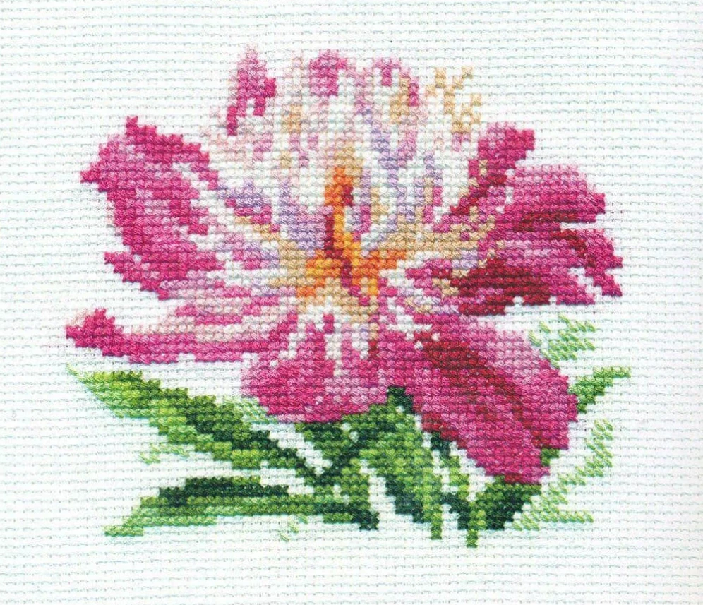 Alisa Beldizart Rožinė Peony S0-119