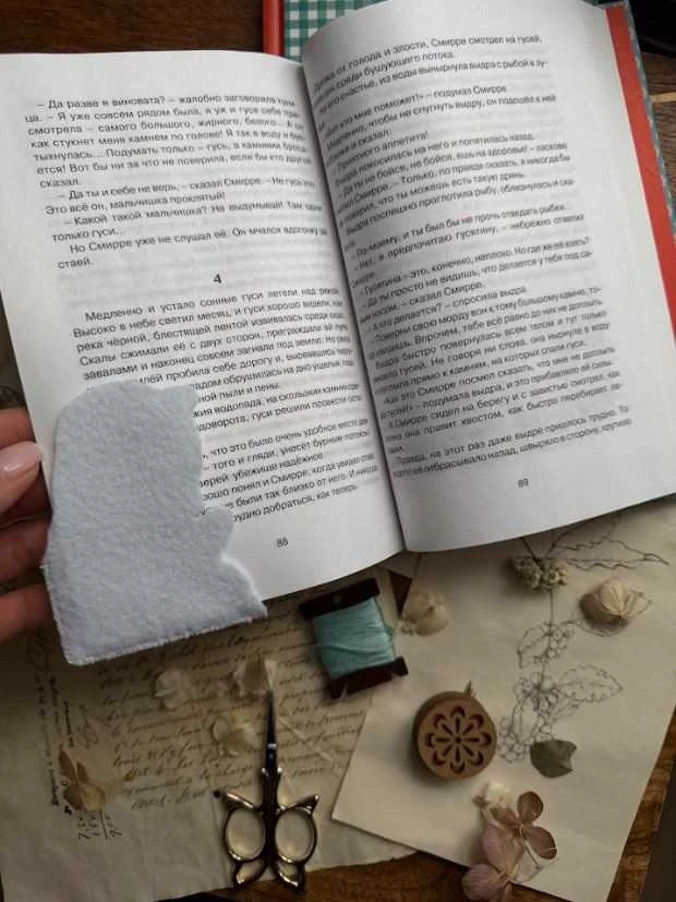 Beldizart Rinkinys kryželiui