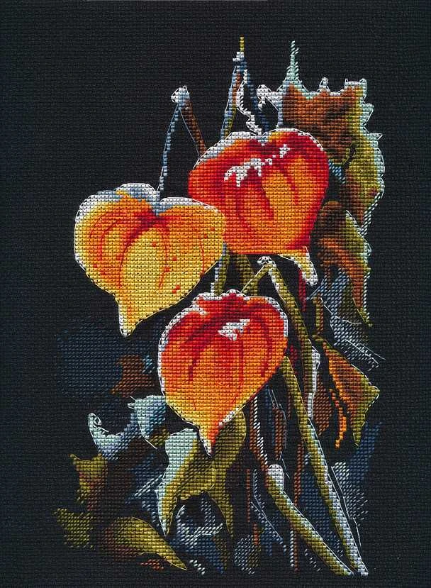 Oven Beldizart Kryželiu siuvinėjimo rinkinys „Physalis ant juodo“ S1617