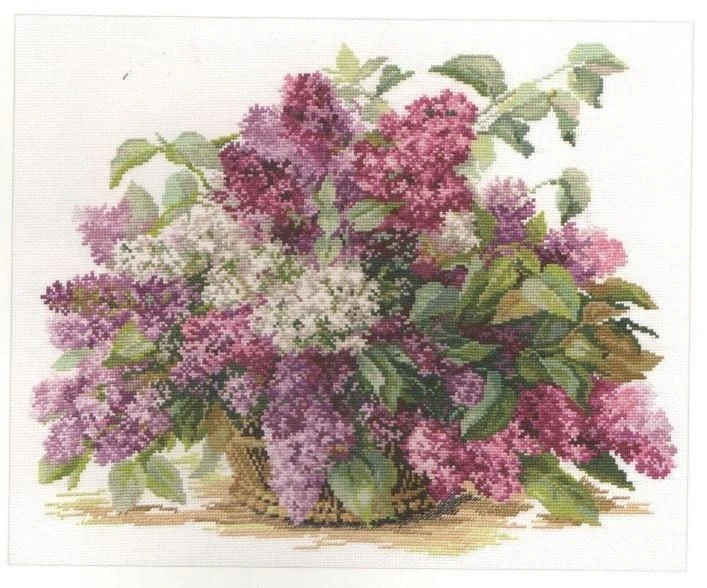 Alisa Beldizart Alyvinė S2-22