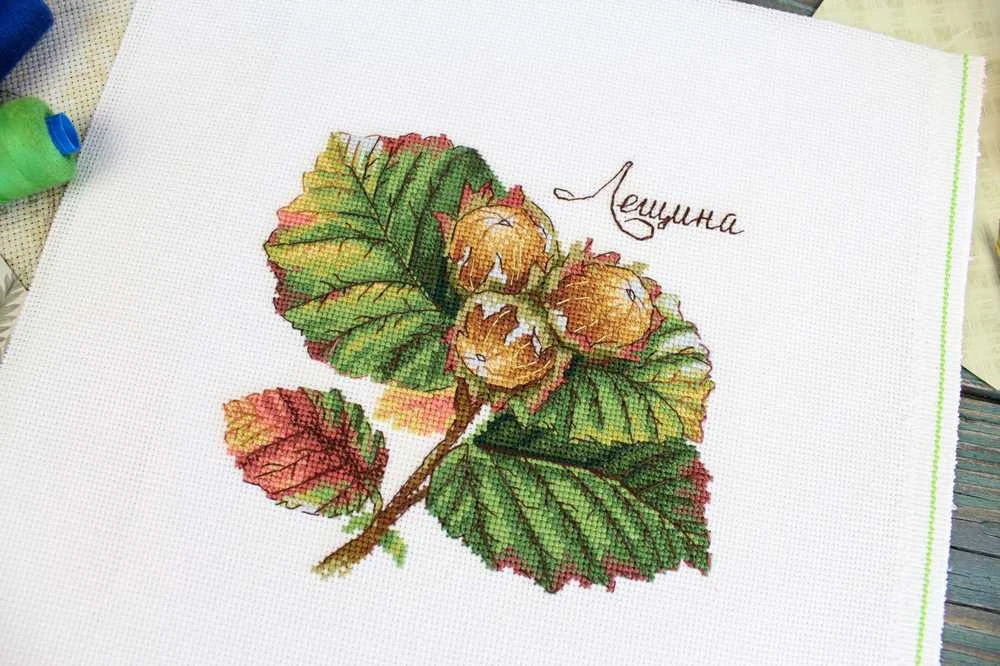 MP Studia Beldizart Kryželių siuvinėjimo rinkinys "Gamtos dovanos. Lazdyno riešutas" 13x13 cm SNV-912