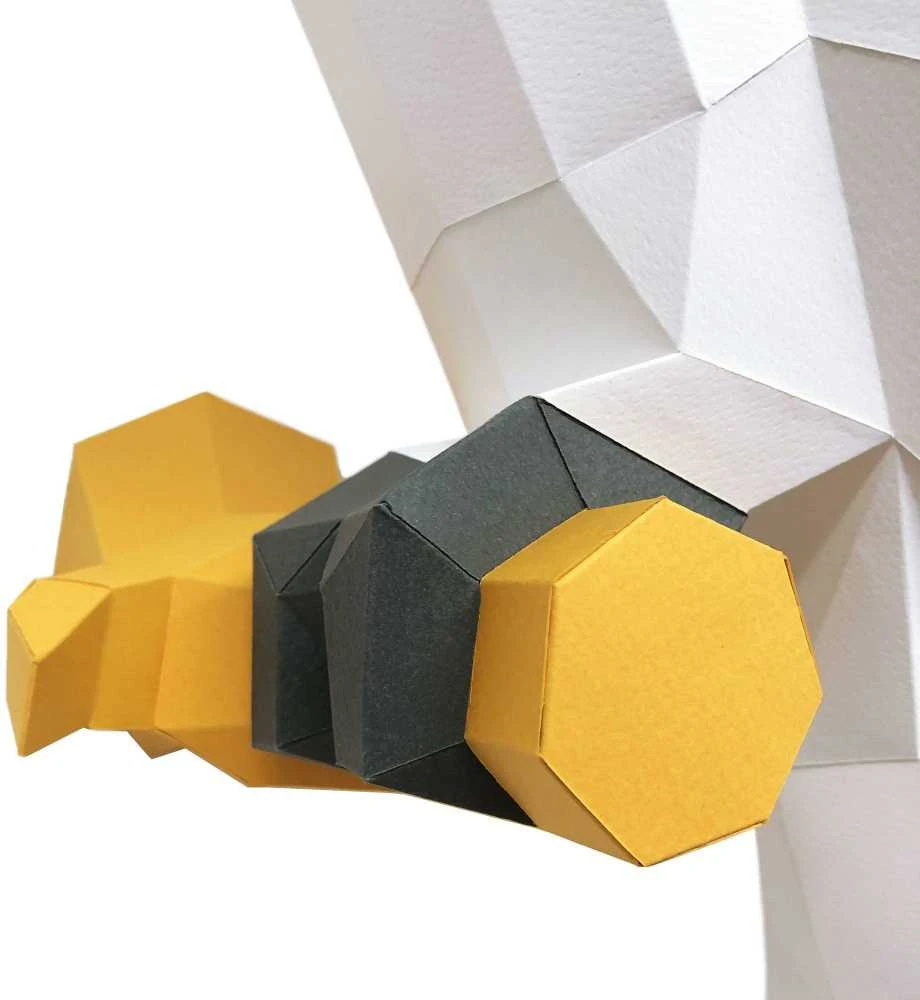 Beldizart Wizardi 3D popieriaus modelio rinkinys Cockatoo PP-1KKD-2WK