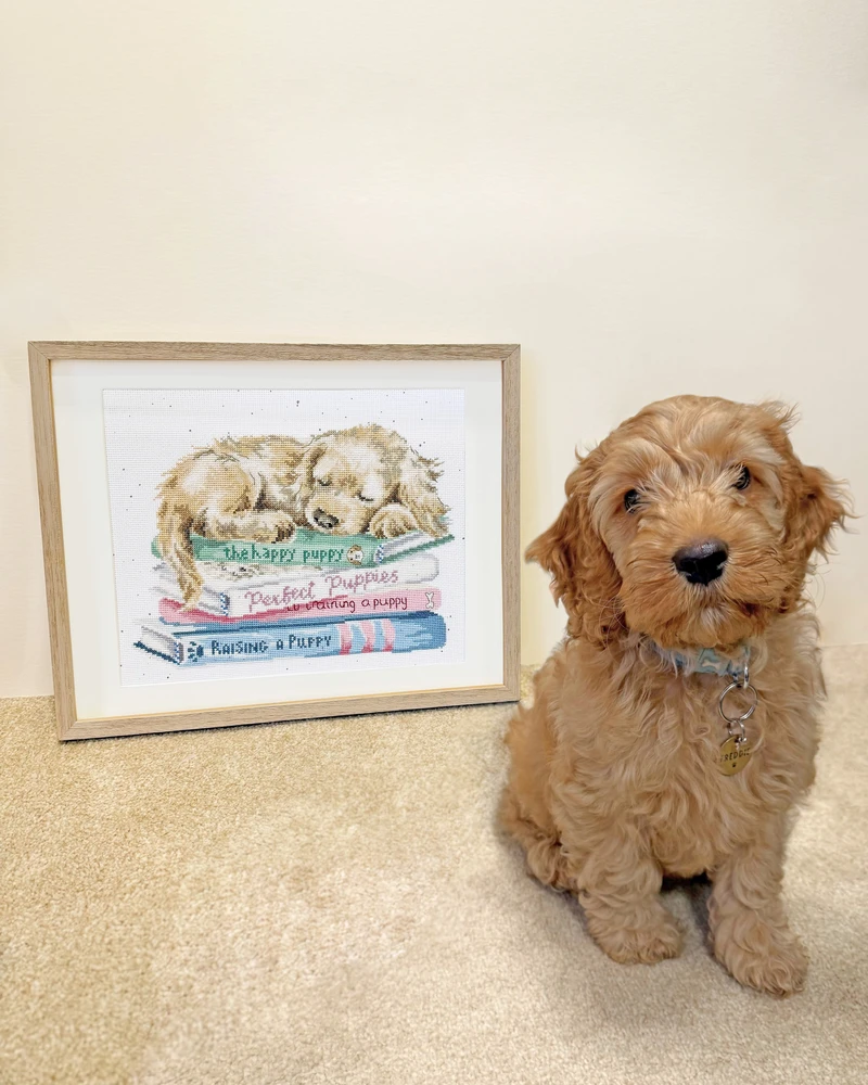 Bothy Threads Cross stitch kit "A Pup's Life" XHD153 30x26 cm