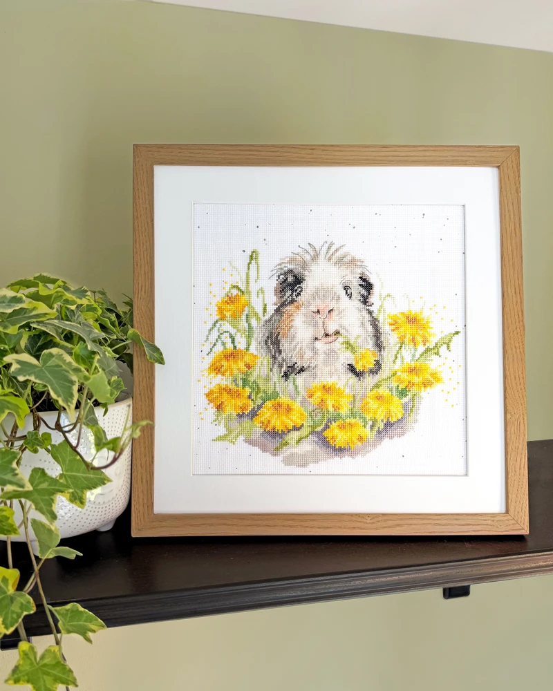 Bothy Threads Cross stitch kit "Dandy Day" XHD165 26x26 cm