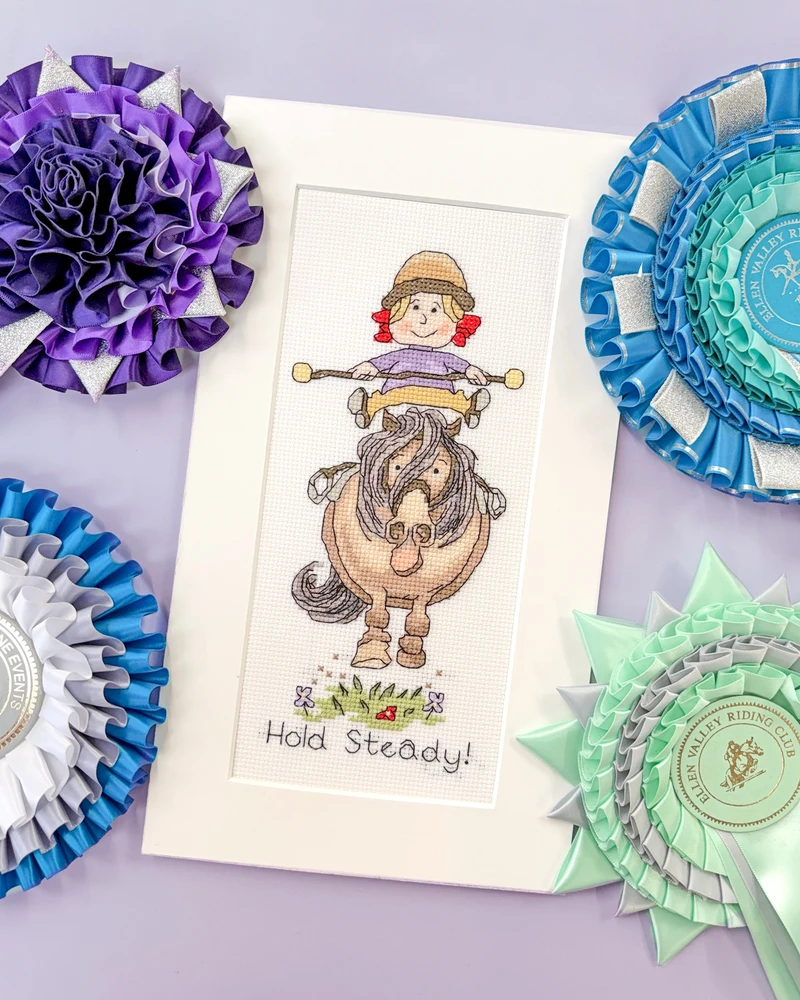 Bothy Threads Cross stitch kit "Hold Steady!" XT8 11x22 cm
