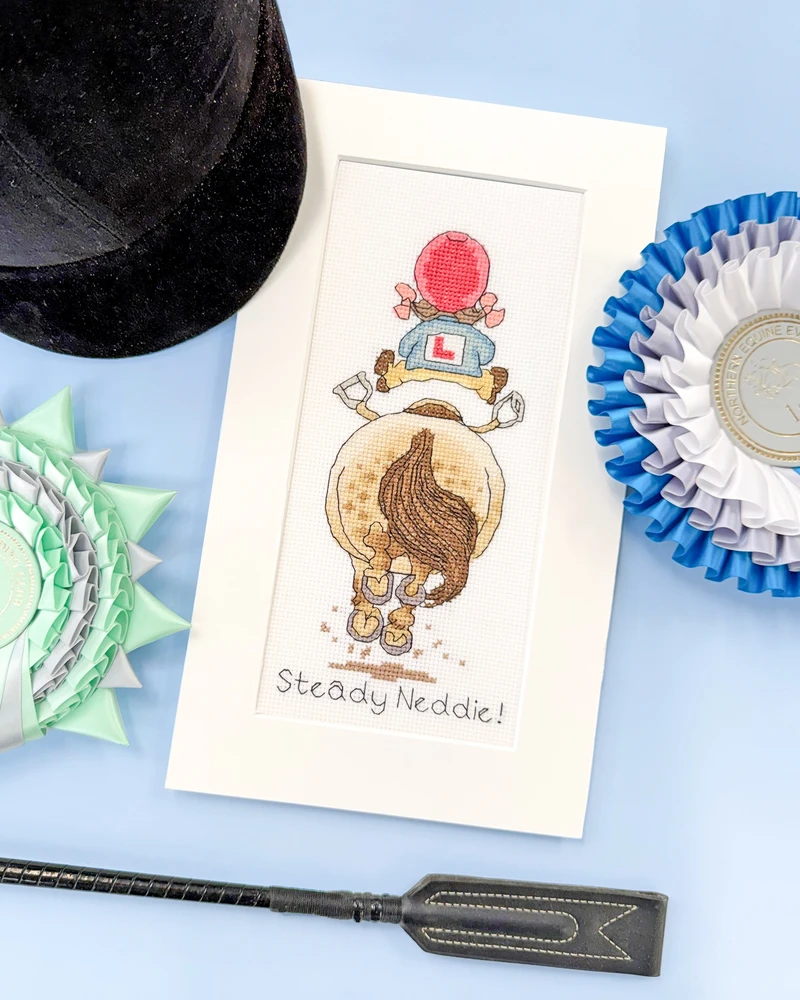Bothy Threads Cross stitch kit "Steady Neddie!" XT9 11x22 cm