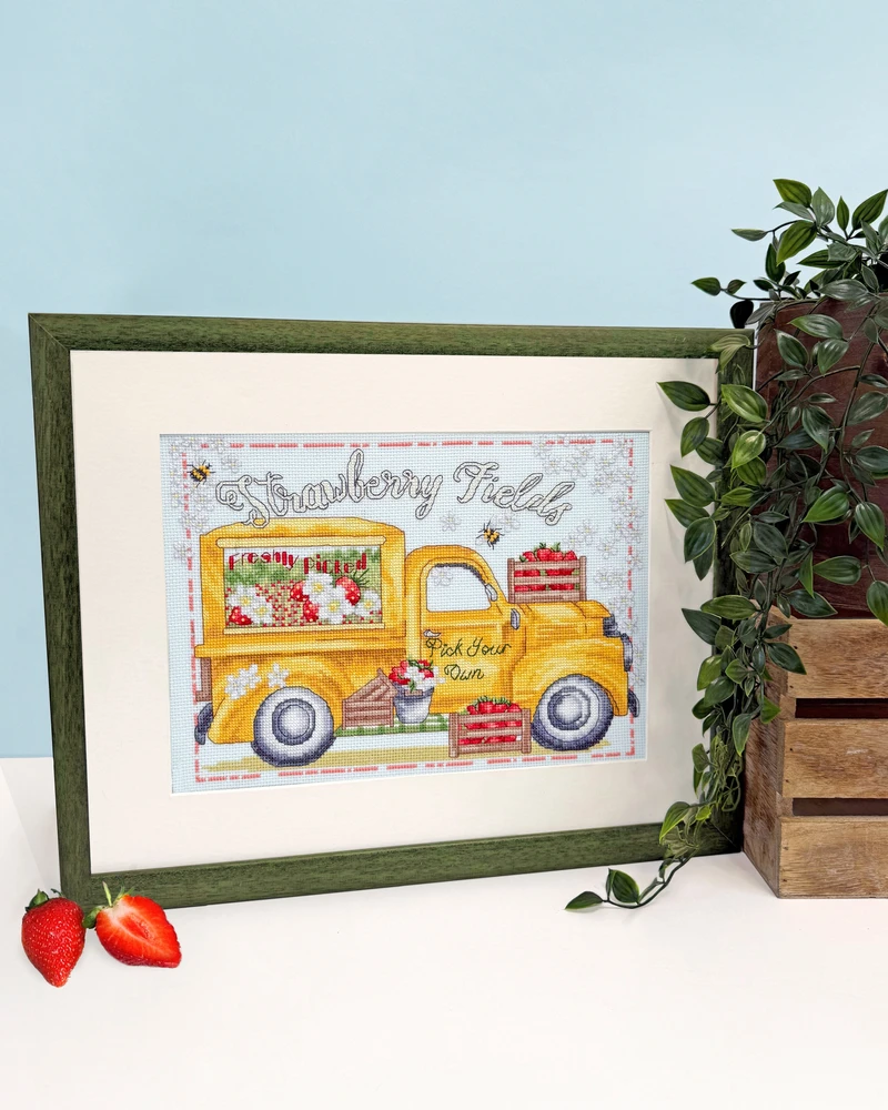 Bothy Threads Cross stitch kit "Strawberry Fields" XKTB25 28x20 cm