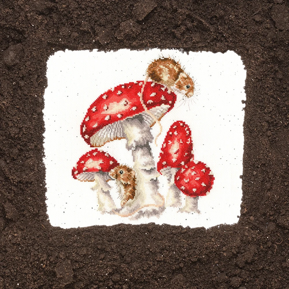 Bothy Threads Cross stitch kit "The Fairy Ring" XHD101 26x26 cm