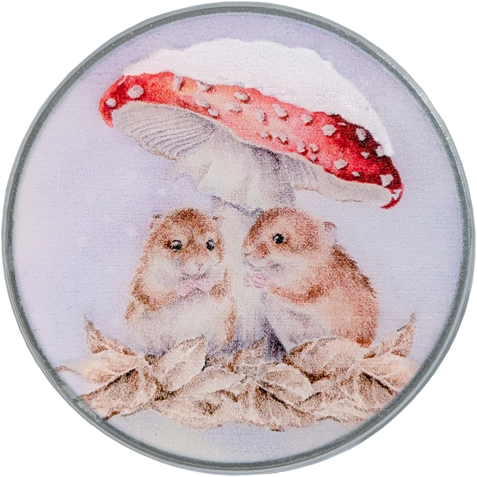Bothy Threads Needle Minder "Mushroom At The Inn" XA67 3.2x3.2 cm