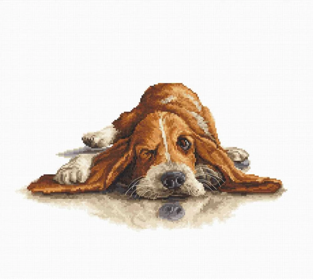luca S Basset SB2341