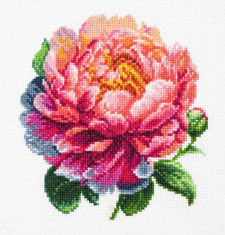 luca S Siuvinėjimo kryželiu rinkinys su lankelis ‘Coral Charm’ bijūnas 12x12cm SBC205