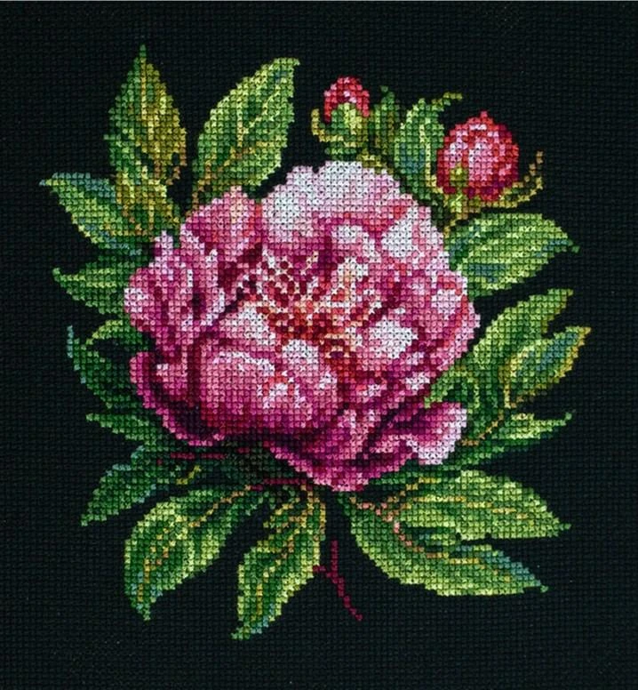 luca S Skaičiuojamas kryželiu siuvinėjimo rinkinys su lanku Komplekte ’’Peter Brand’’ Bijūnas 12x13cm SBC204
