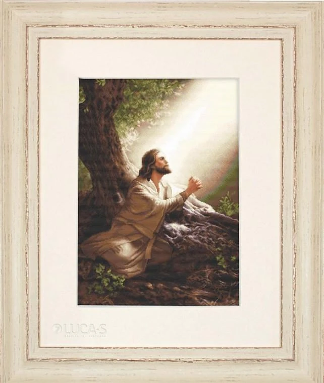 luca S Petit Point Rinkinys "Jėzus Kristus" 22x33 cm SG618