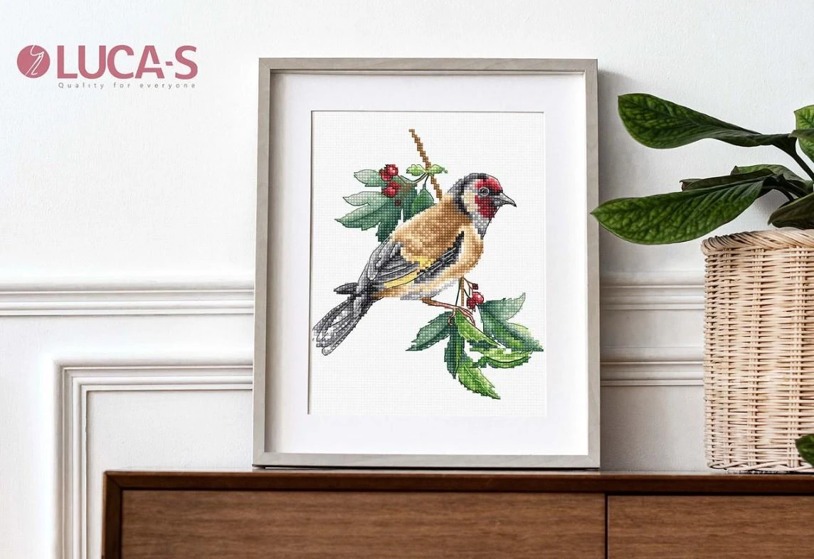 luca S Goldfinch bird SB1197