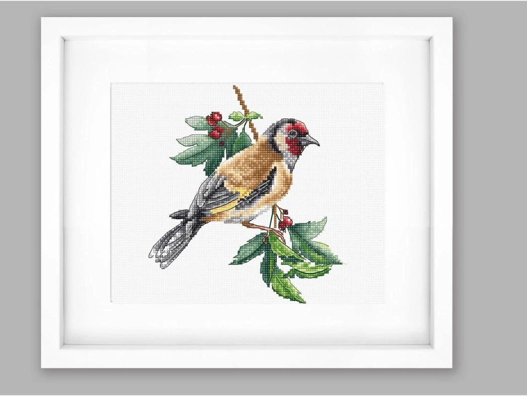 luca S Goldfinch bird SB1197