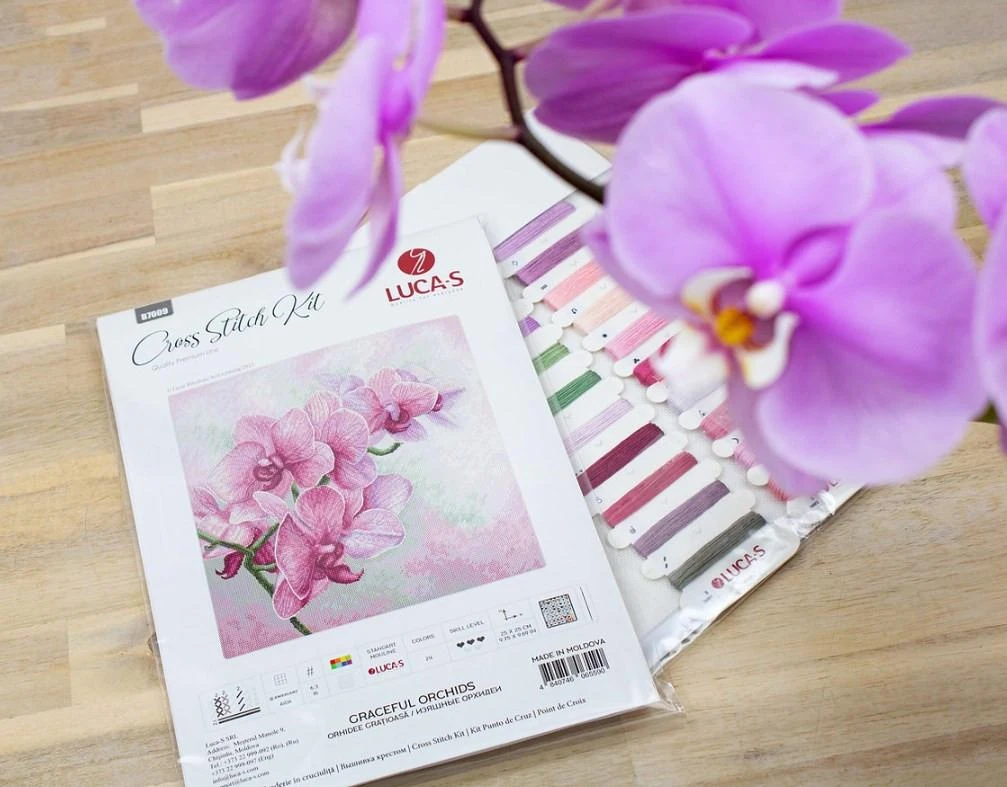 luca S Grakščiosios orchidėjos SB7009