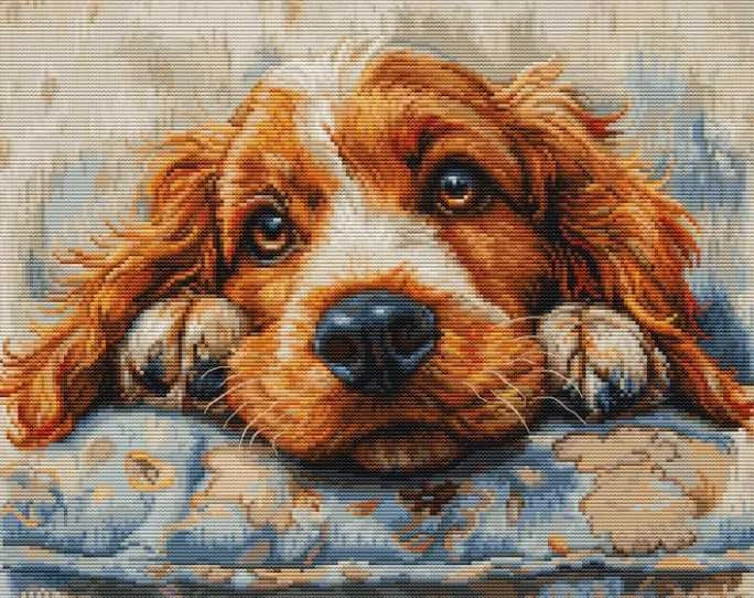 luca S Kryželiu siuvinėjimo rinkinys "Cocker Spaniel" 32x25cm SBU5058