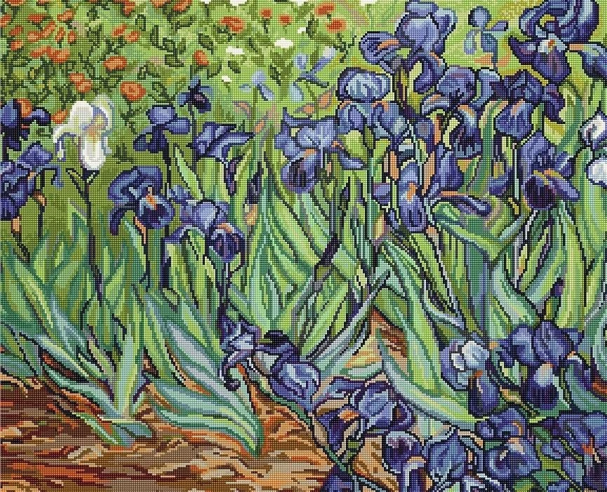 luca S Irisai, Van Gogho reprodukcija SB444