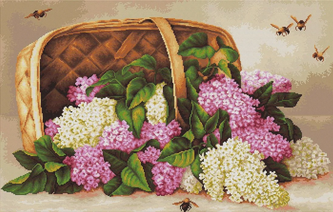 luca S Lelijų krepšelis SB501