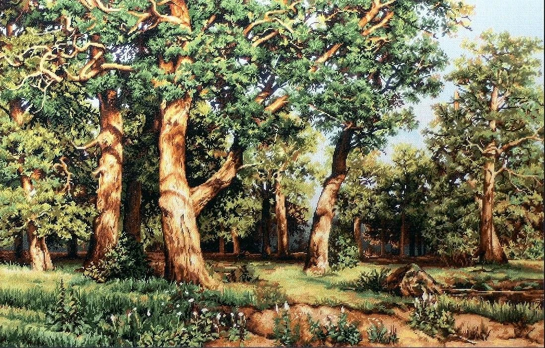 luca S Ąžuolų giraitė SB476