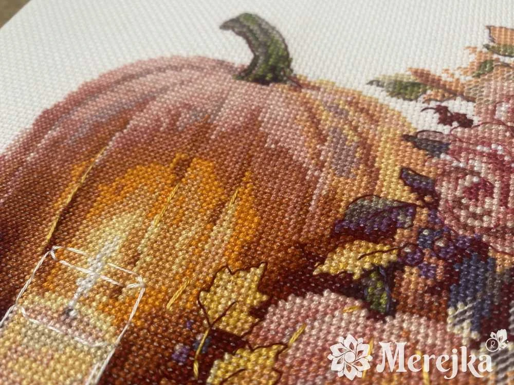 Merejka Sėkmės kryžiaus dygsnio rinkinys "Stalviršis su moliūgais" 19x24 SK241B