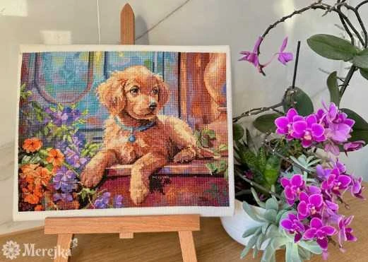 Merejka Skaičiuojamasis kryžiaus dygsnio rinkinys "Saulėta veranda" 22x28,5 SK235