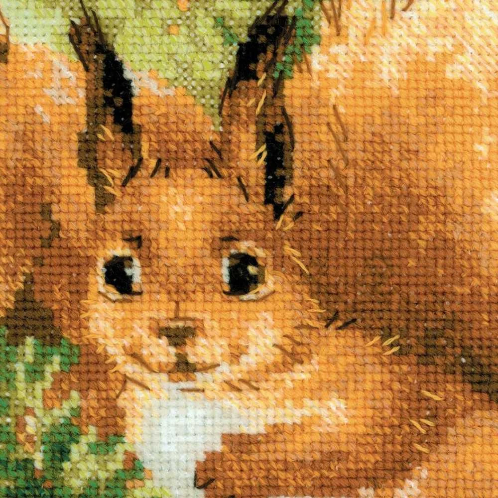 Riolis Voverės 1491