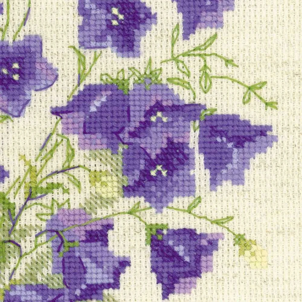 Riolis Bellflower 1557