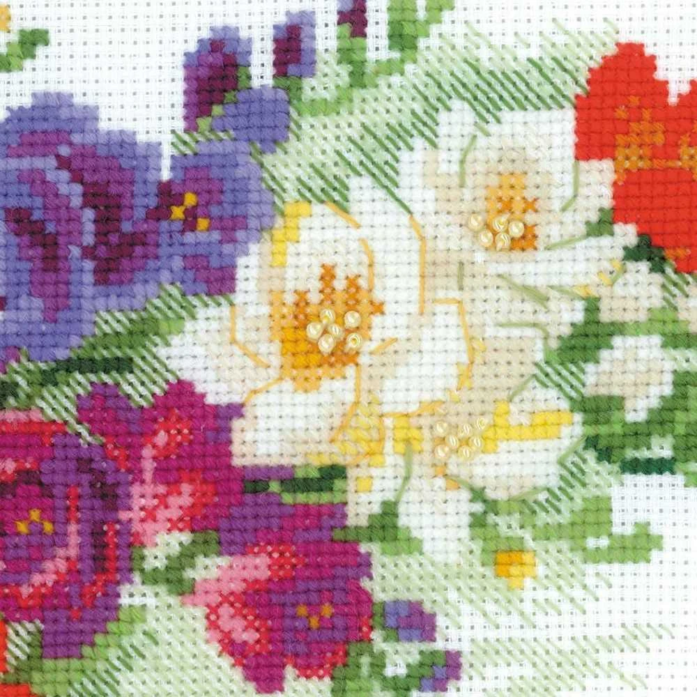 Riolis Freesia SR1561