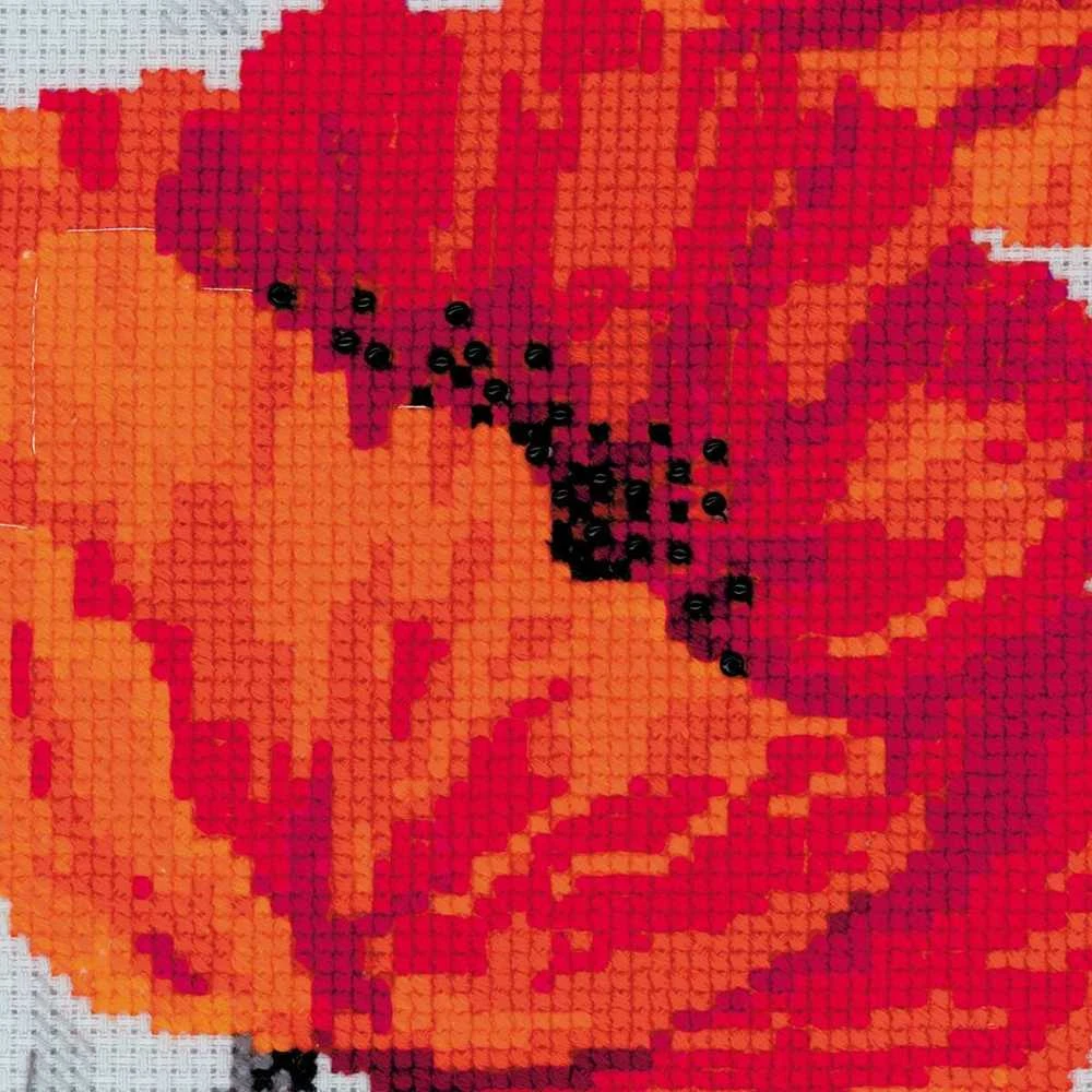 Riolis Scarlet Poppies SR100/037