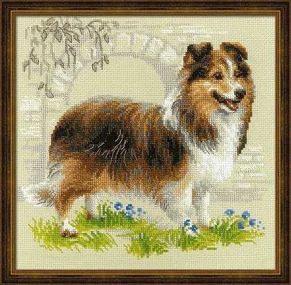 Riolis Sheltie SR1710